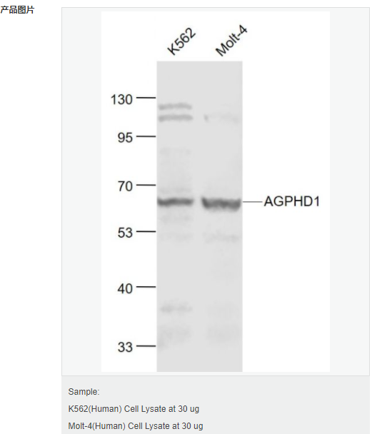 605849cfd7deb.png image.png