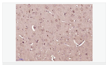 605856f6cdb53.png image.png