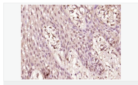 6066adc905908.png image.png