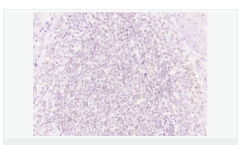 6066bbfe2cdb4.png image.png